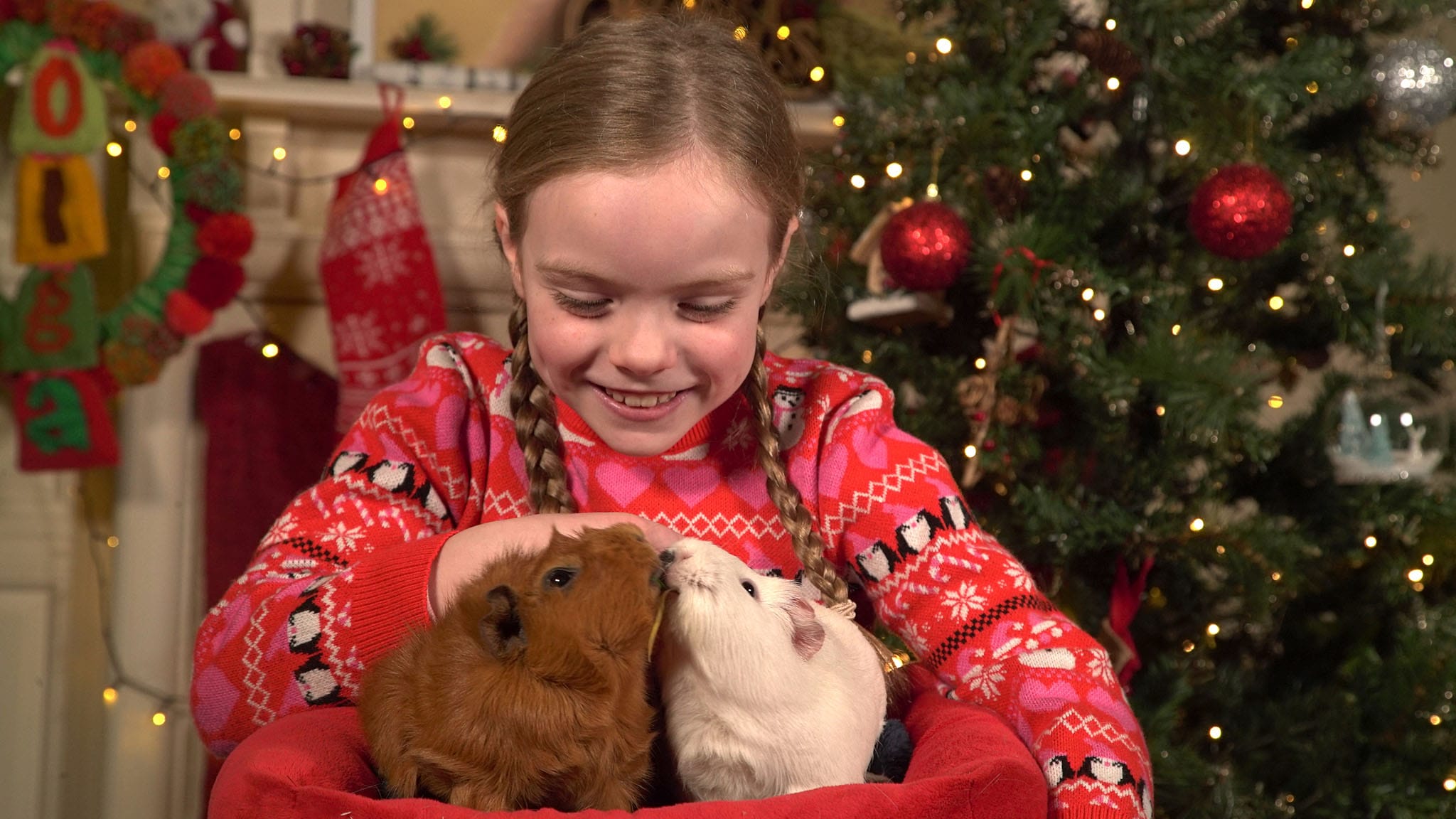 Olga da Polga - S1E18 - Buon Natale Olga