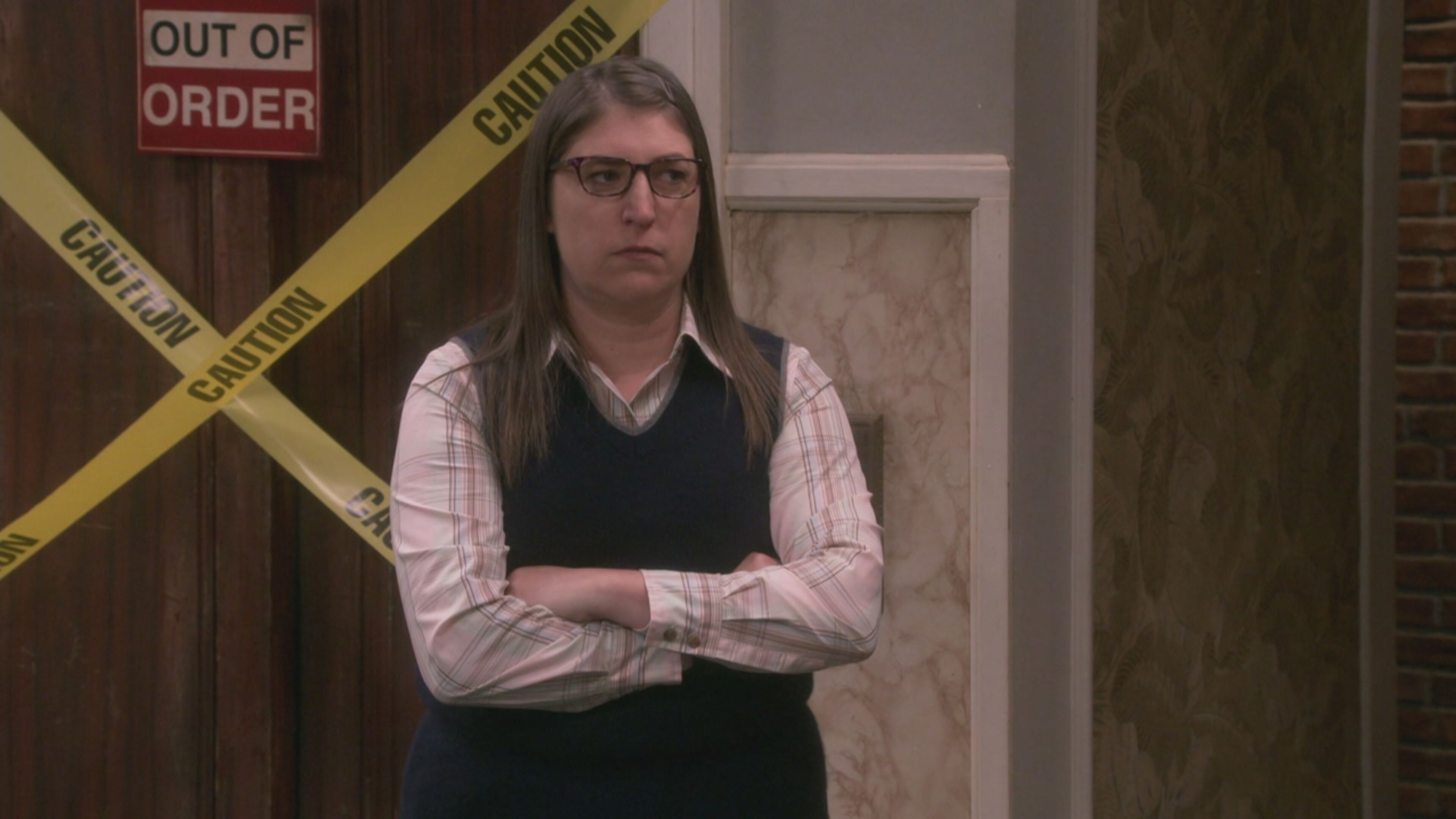 The Big Bang Theory 12 - S12 Ep7 La derivazione dell'allocazione della sovvenzione