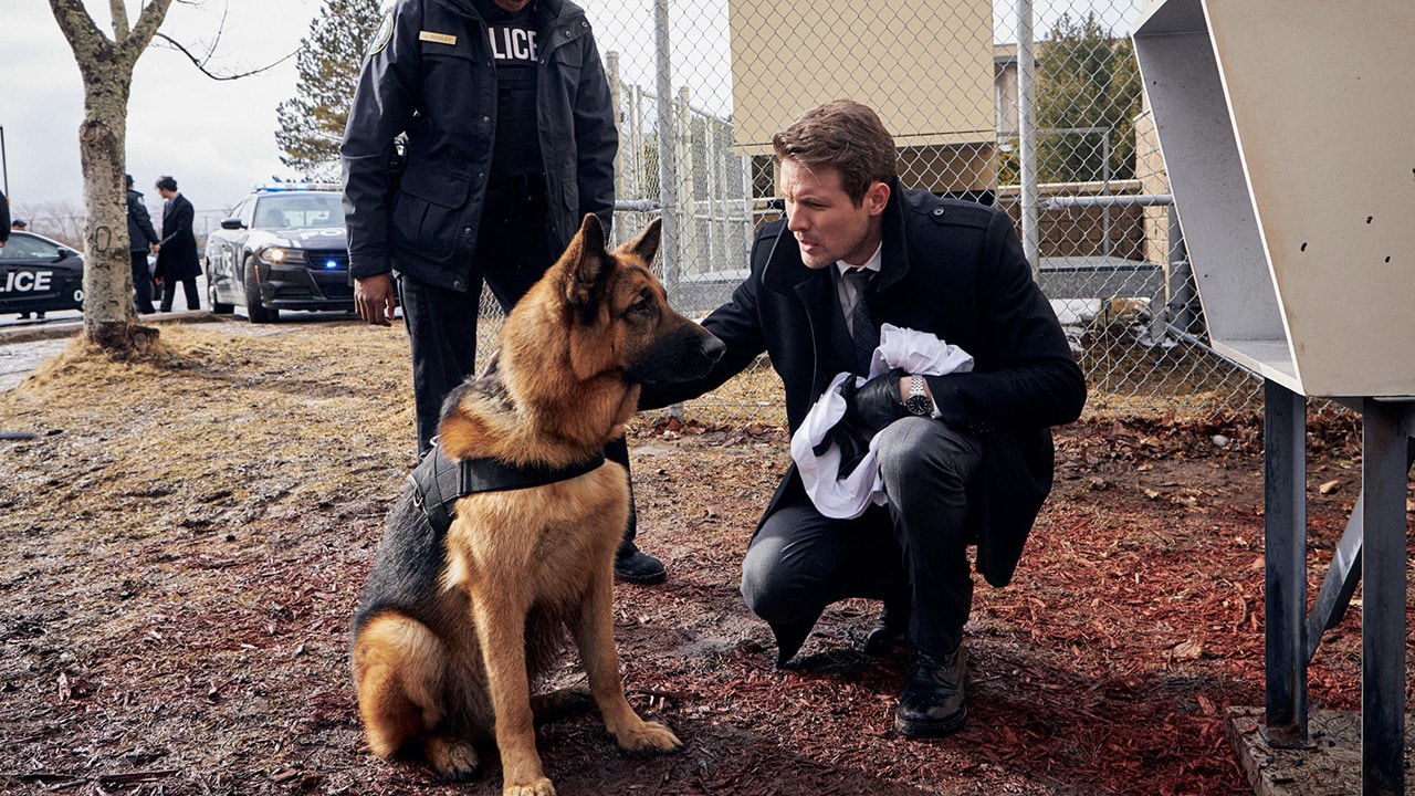 Hudson  Rex - S1E9 - Alta tensione