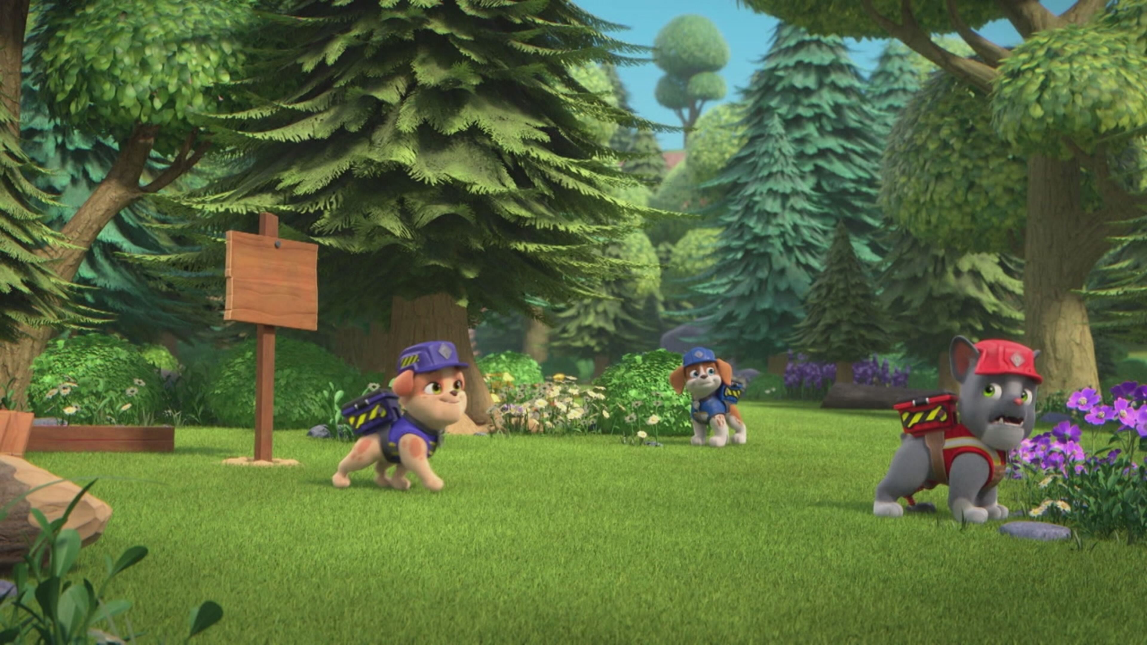 Rubble  Crew - S2 Ep.21 - La squadra costruisce un hotel / La squadra costruisce la segnaletica sul Monte Attrezzo