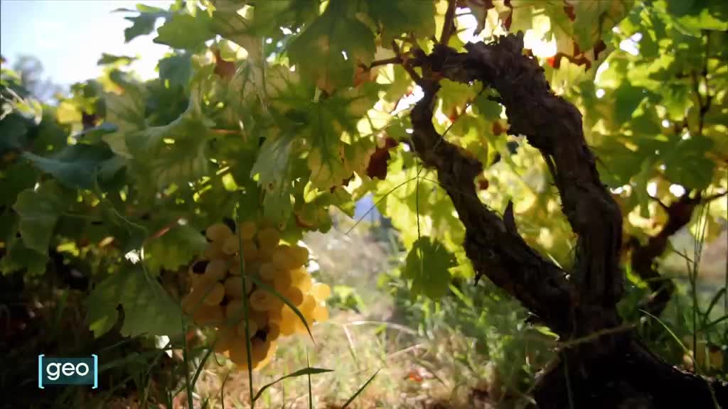 Geo - Puntata del 27/04/2026 - Rai5