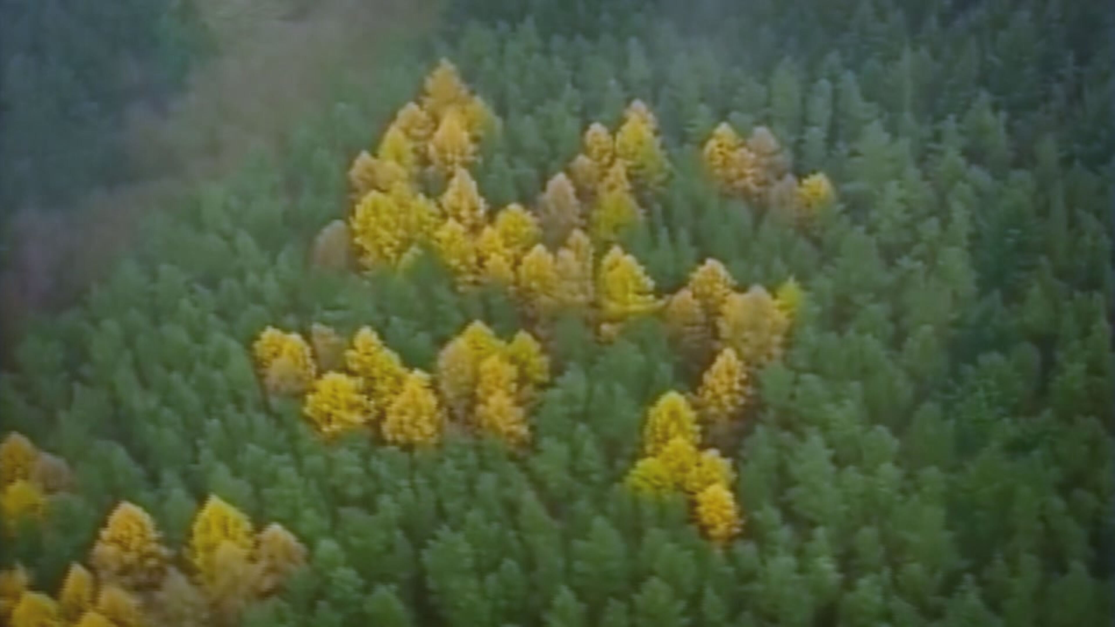 Cose di questo mondo - S3 Ep7 La cospirazione della svastica