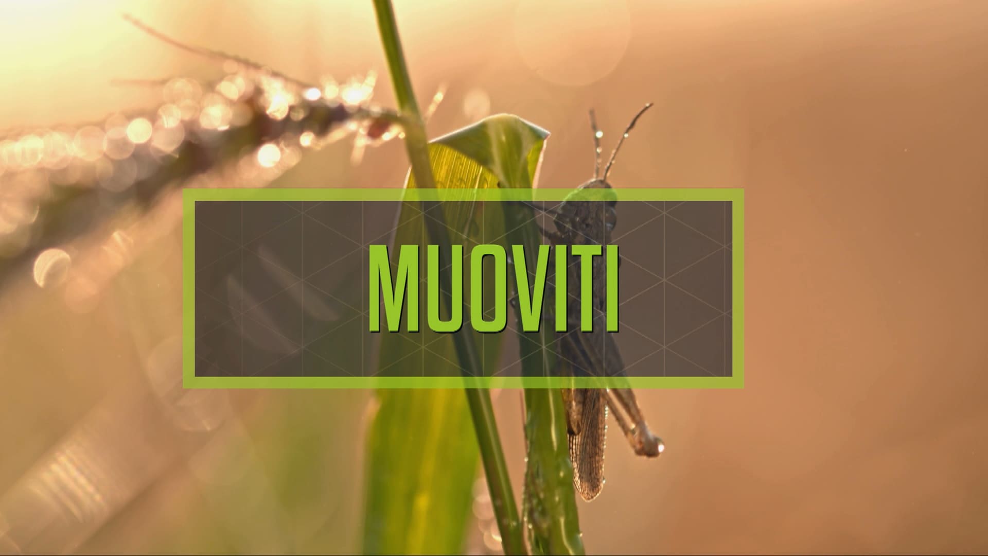 Racconti di Scienza. Muoviti