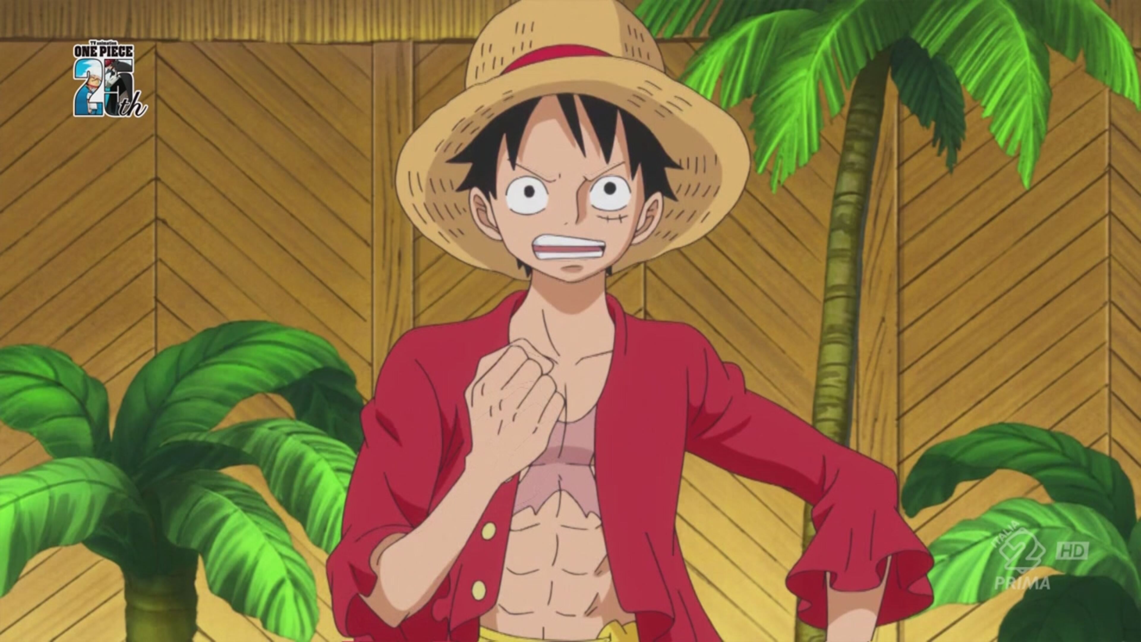 One Piece 16 - S16 Ep43 Lotta contro il tempo - Salvare il popolo dei visoni!