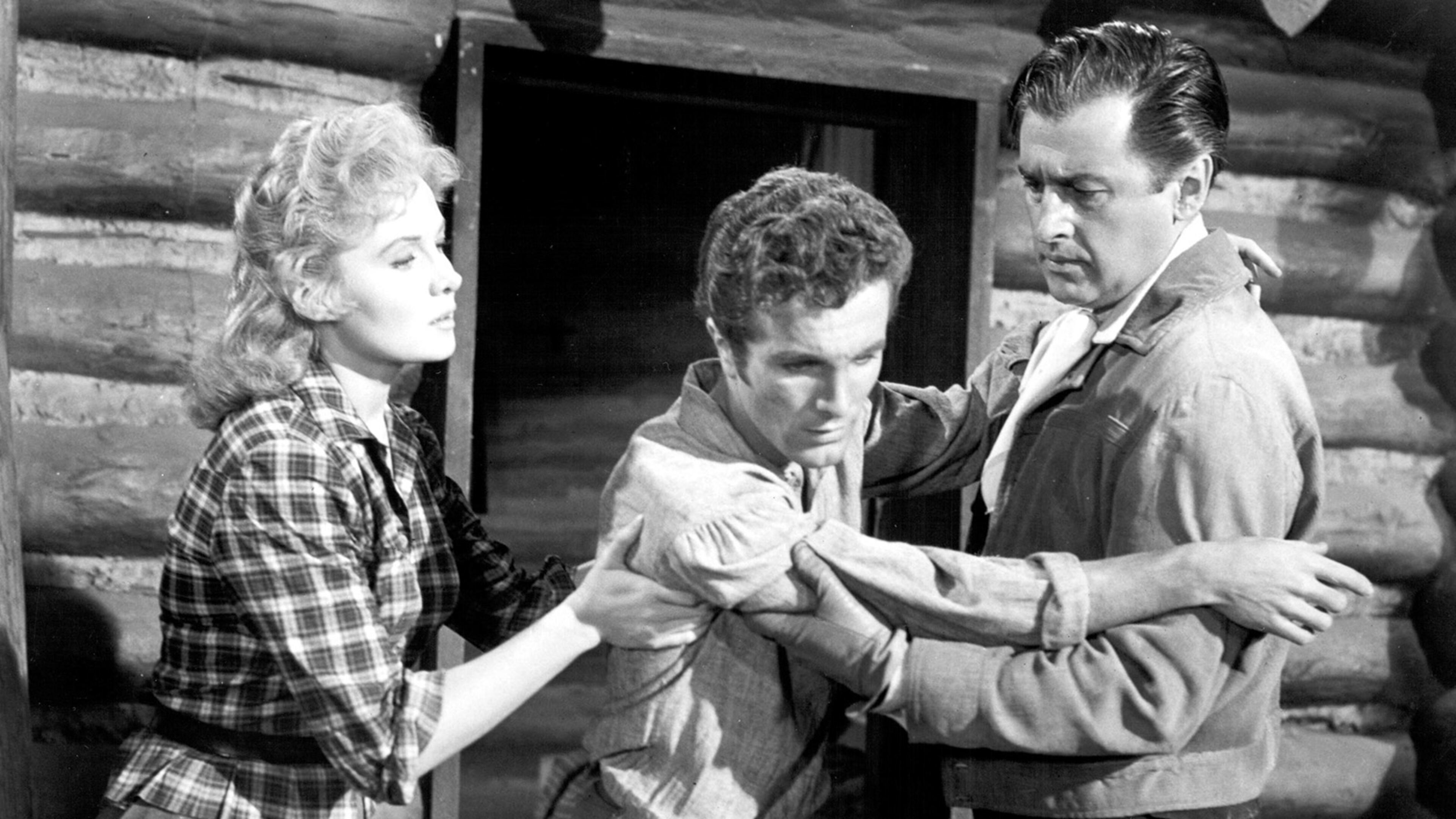 L' arma della gloria