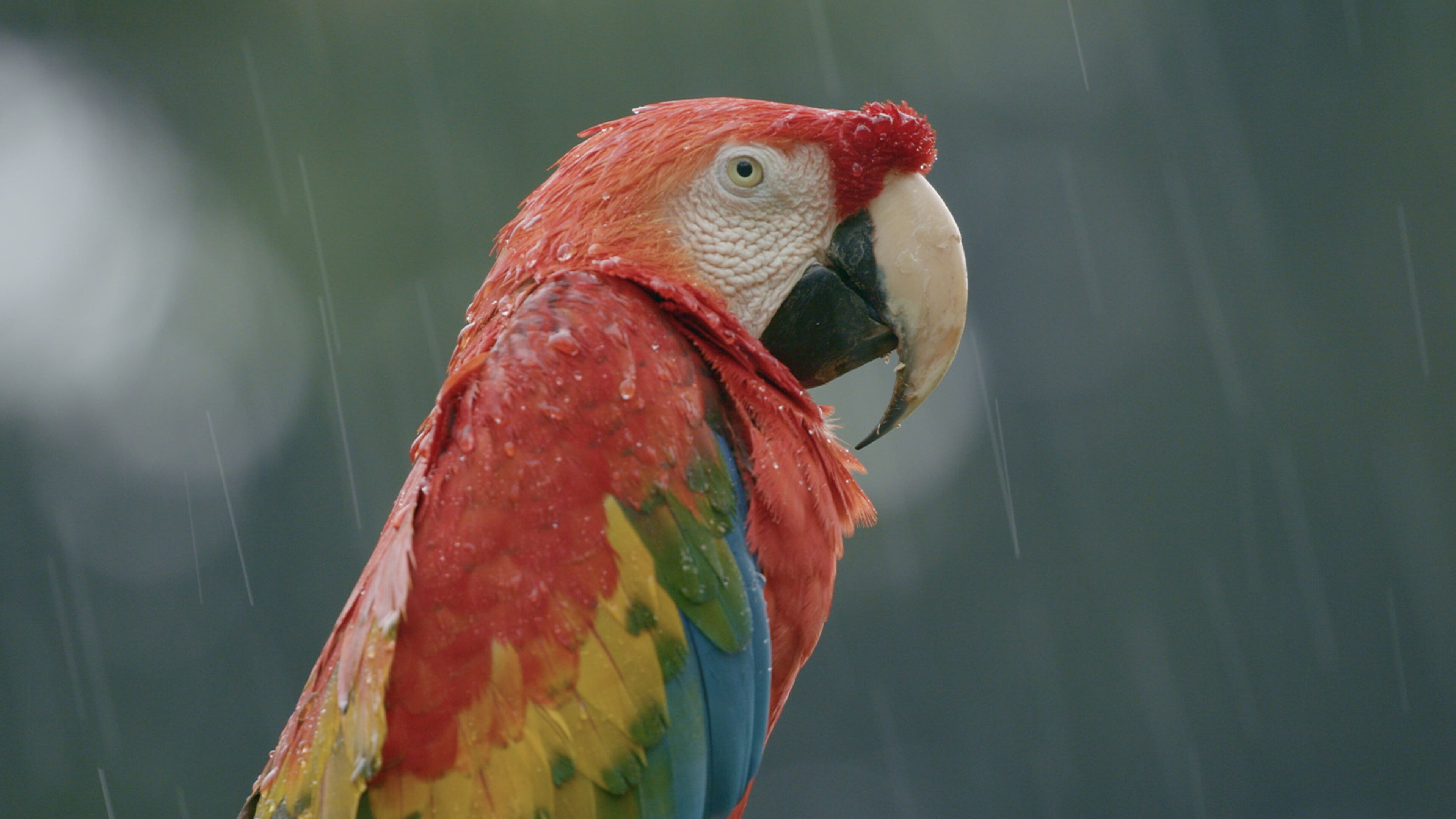 Senza sconti - Fin dove la vita resiste - S1 Ep1