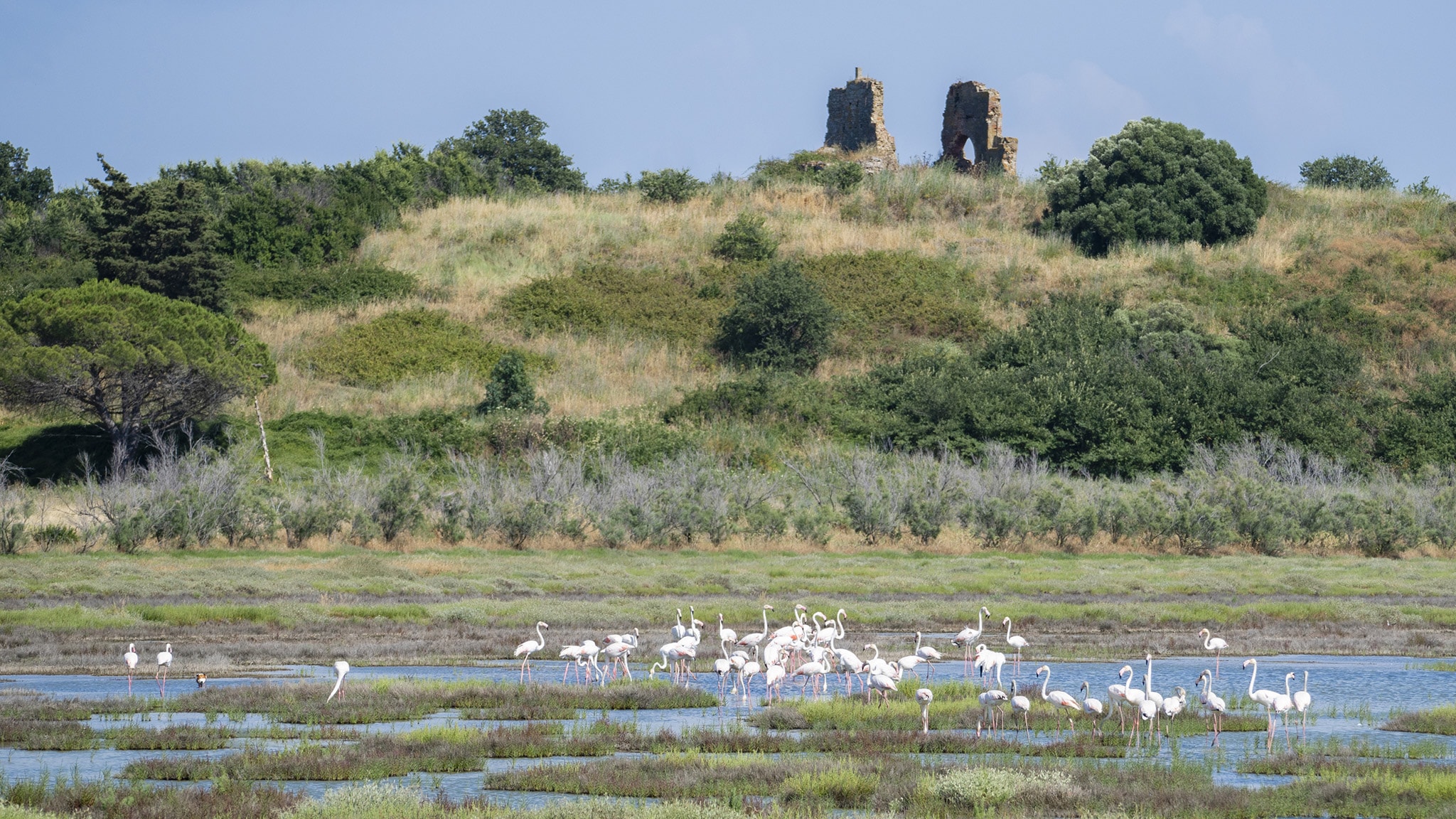 Evolution - Maremma - Ep 1 Autunno