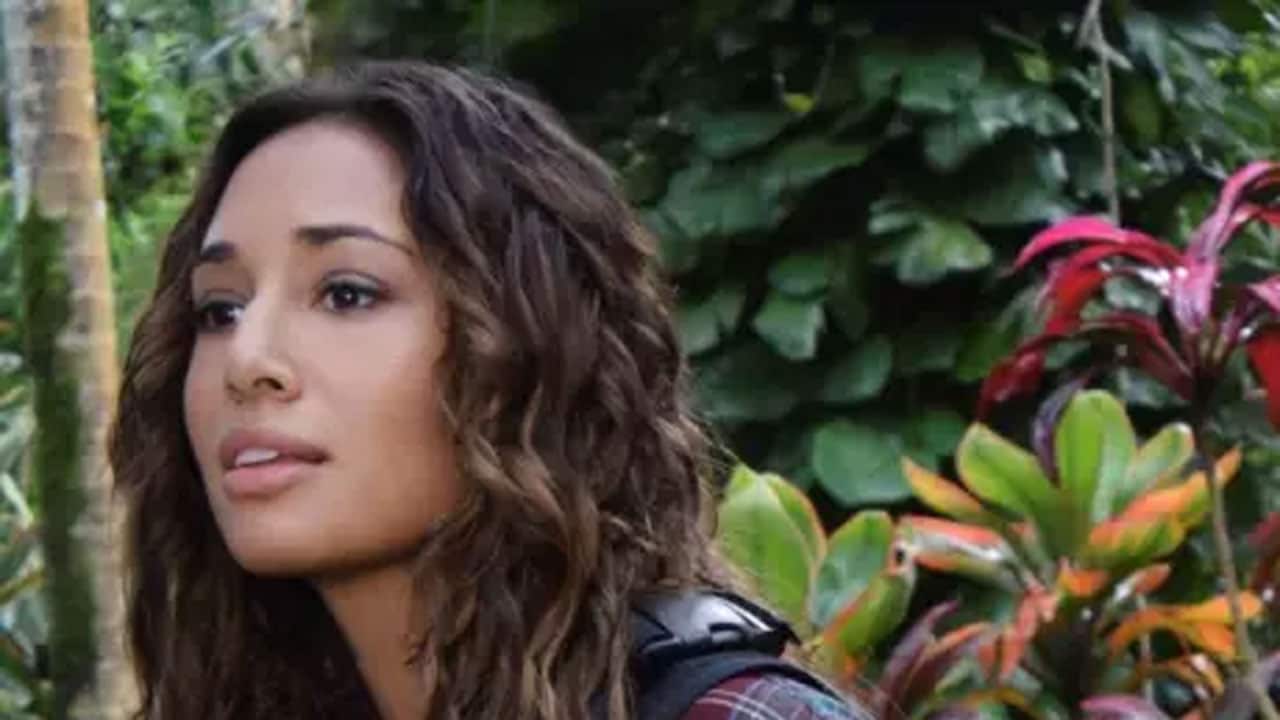 Hawai Five-0 S8E5 - Il sentiero nella foresta