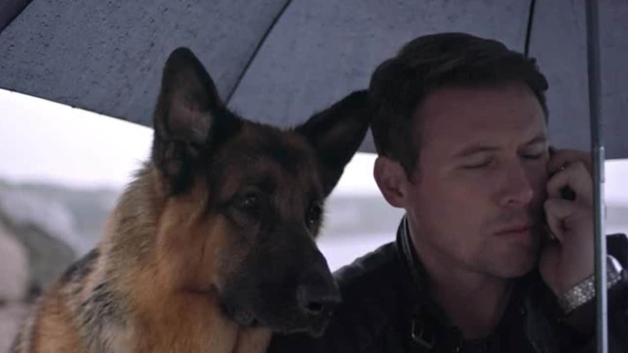 Hudson  Rex - S2E2 - Condannato a morte