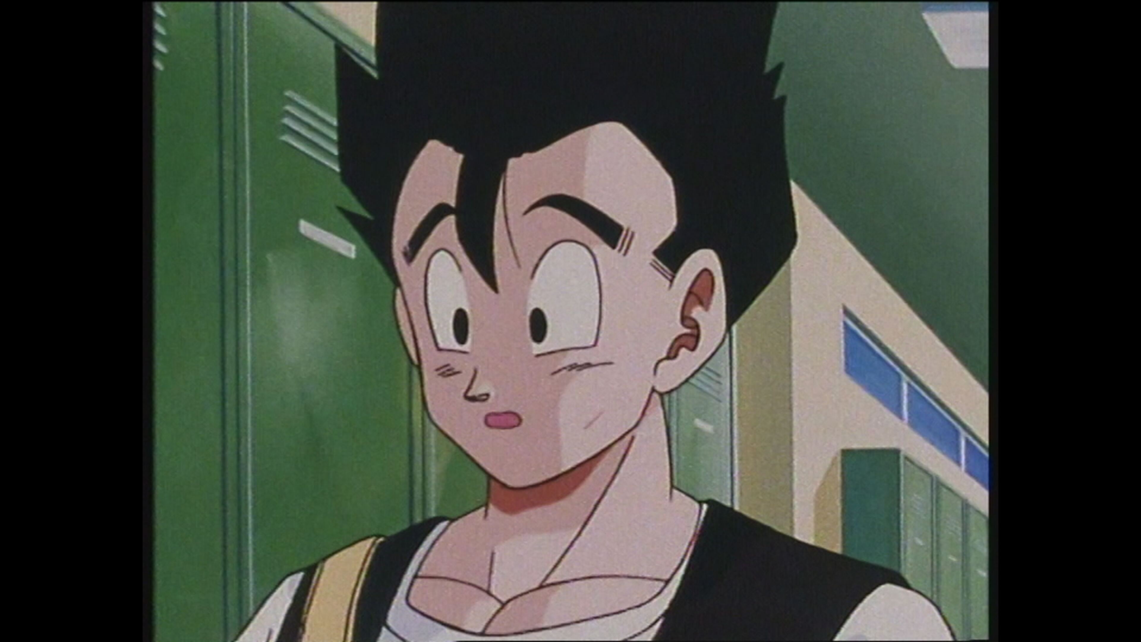 What's my Destiny Dragon Ball - S2 Ep48 Gohan contro Videl