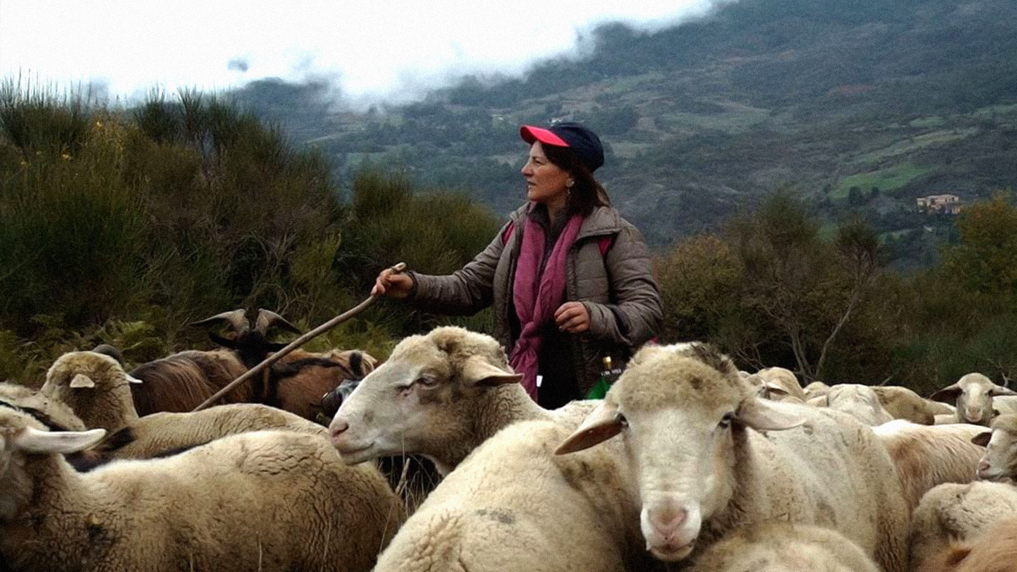 - In questo mondo libero...