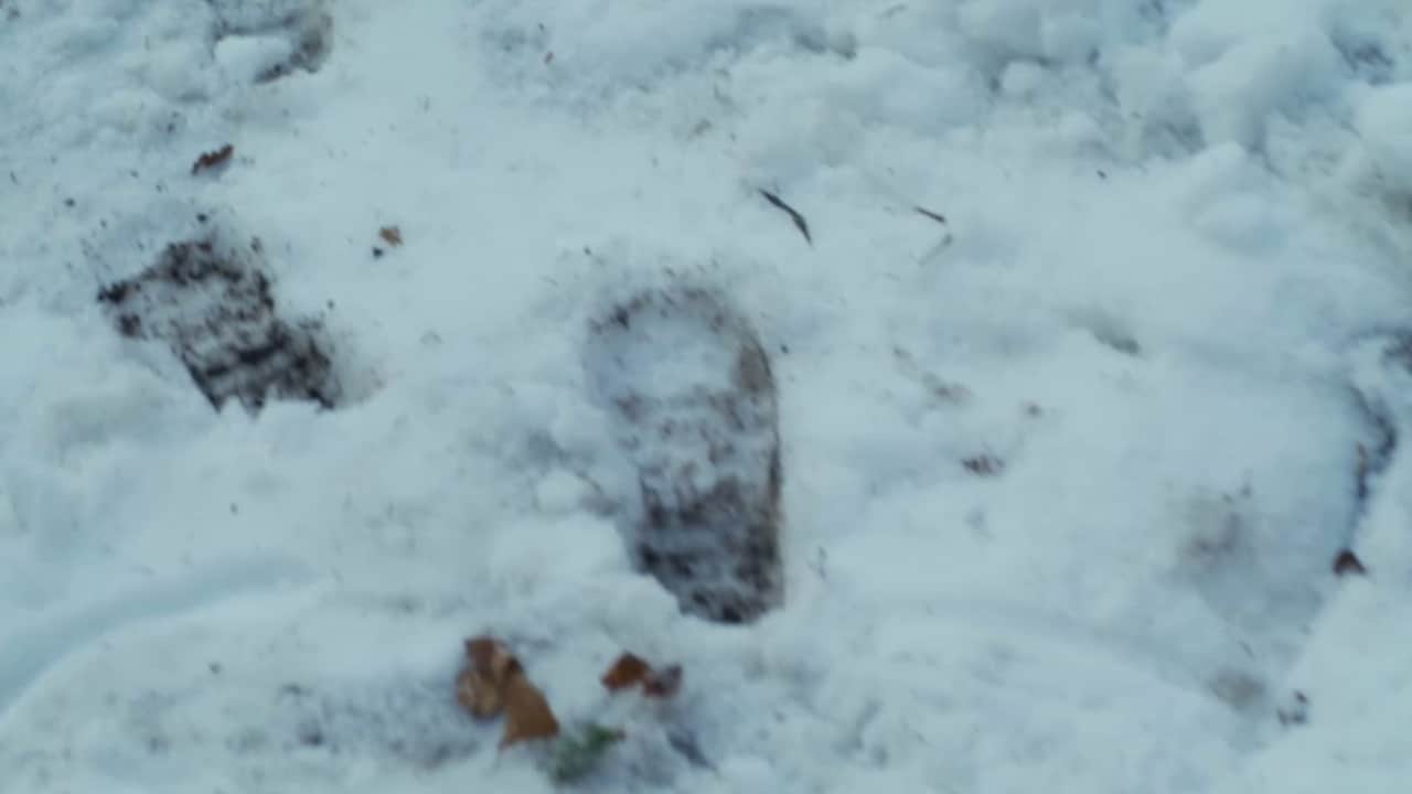 Fiori sopra l'inferno - I casi di Teresa Battaglia - S1E6 - Episodio 6